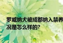 罗威纳犬被成都纳入禁养犬名单 成都不能养什么狗 具体情况是怎么样的?