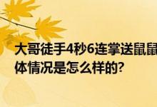 大哥徒手4秒6连掌送鼠鼠“回家” 网友纷纷表示太生猛 具体情况是怎么样的?