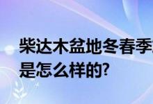 柴达木盆地冬春季旅游景区免门票 具体情况是怎么样的?