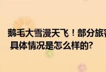 鹅毛大雪漫天飞！部分旅客列车停运 多地停课、错峰上下班 具体情况是怎么样的?