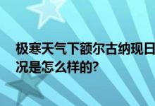 极寒天气下额尔古纳现日晕奇观 网友：神奇大自然 具体情况是怎么样的?