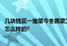 几块钱买一堆菜今冬蔬菜为何跌出“白菜价”？ 具体情况是怎么样的?