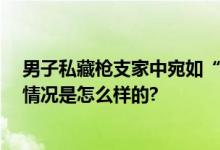 男子私藏枪支家中宛如“军火库” 系狂热枪支爱好者 具体情况是怎么样的?