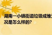 湖南一小镇街道垃圾成堆无人清理 有6天都没人打扫 具体情况是怎么样的?