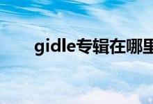 gidle专辑在哪里买（专辑在哪里买）