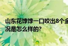 山东花饽饽一口咬出8个金元宝 传统制作又出新花样 具体情况是怎么样的?