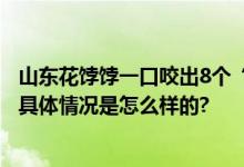 山东花饽饽一口咬出8个“金元宝” 网友：有过年的气氛了 具体情况是怎么样的?