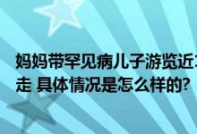 妈妈带罕见病儿子游览近100个城市 轮椅到不了就背着儿子走 具体情况是怎么样的?