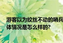 游客以为纹丝不动的哨兵是仿真人 敬礼那一刻让人泪目 具体情况是怎么样的?