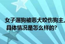 女子遛狗被恶犬咬伤狗主人未道歉赔偿 派出所：会规范处理 具体情况是怎么样的?