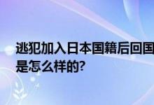 逃犯加入日本国籍后回国就被抓 网友：法网恢恢 具体情况是怎么样的?