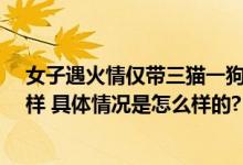 女子遇火情仅带三猫一狗跑下33楼 当事人：它们和家人一样 具体情况是怎么样的?