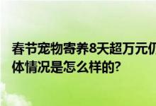 春节宠物寄养8天超万元仍一窝难求 堪比五星级酒店价格 具体情况是怎么样的?