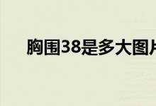 胸围38是多大图片女（胸围38是多大）