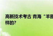 高新技术考古 青海“羊圈墓”有重大发现 具体情况是怎么样的?