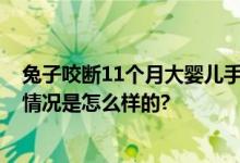 兔子咬断11个月大婴儿手指：断指丢失 无法手指再植 具体情况是怎么样的?