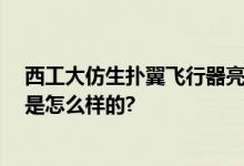 西工大仿生扑翼飞行器亮相 网友：简直惟妙惟肖 具体情况是怎么样的?