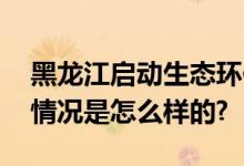 黑龙江启动生态环保督察整改专项行动 具体情况是怎么样的?