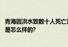 青海因洪水致数十人死亡系谣言：未造成人员伤亡 具体情况是怎么样的?