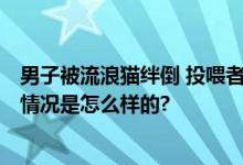 男子被流浪猫绊倒 投喂者赔24万 法院提醒：并非个案 具体情况是怎么样的?