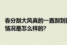 春分刮大风真的一直刮到四月中吗？立夏之后明显回落 具体情况是怎么样的?