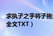 求执子之手将子拖走txt（求纸扇轻摇的小说全文TXT）