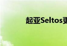 起亚Seltos更新功能列表泄露