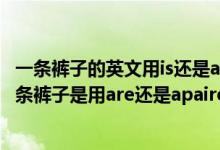 一条裤子的英文用is还是are（一条裤子是pant还是pants一条裤子是用are还是apairof我穿着一条裤子英语怎么说）