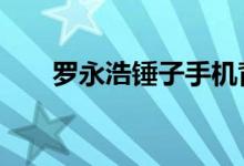 罗永浩锤子手机背后的15个资本大佬