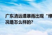 广东清远遭暴雨出现“绿色天空” 网友：限时皮肤 具体情况是怎么样的?