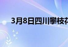 3月8日四川攀枝花地区喷吹煤价格暂稳