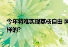 今年将难实现荔枝自由 网友：广东人急了 具体情况是怎么样的?