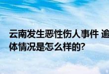 云南发生恶性伤人事件 逾10人伤亡 相关情况正在核实中 具体情况是怎么样的?