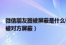 微信朋友圈被屏蔽是什么样子的（怎么查看微信朋友圈是否被对方屏蔽）