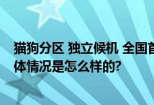 猫狗分区 独立候机 全国首家宠物候机厅在深圳机场启用 具体情况是怎么样的?