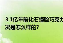 3.1亿年前化石撞脸巧克力脆筒 网友：大自然的魅力 具体情况是怎么样的?