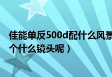 佳能单反500d配什么风景镜头好（佳能500D想配给镜头配个什么镜头呢）