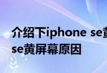 介绍下iphone se黄屏问题怎么办及iphone se黄屏幕原因