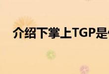 介绍下掌上TGP是什么及掌上TGP怎么玩