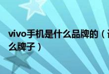 vivo手机是什么品牌的（请问vivo手机是什么品牌vivo是什么牌子）