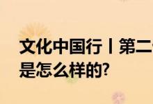 文化中国行丨第二十届文博会开幕 具体情况是怎么样的?