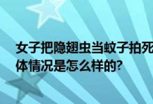 女子把隐翅虫当蚊子拍死差点毁容 医生：千万不要拍打 具体情况是怎么样的?