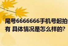 尾号6666666手机号起拍价113万 原为乐清一企业董事长所有 具体情况是怎么样的?