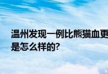 温州发现一例比熊猫血更稀有的恐龙血 极为罕见 具体情况是怎么样的?