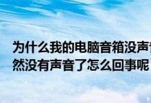 为什么我的电脑音箱没声音（昨天还好好的今天电脑音箱突然没有声音了怎么回事呢）