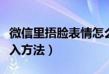 微信里捂脸表情怎么打（微信里捂脸表情的输入方法）