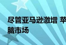 尽管亚马逊激增 苹果iPad仍领先全球平板电脑市场