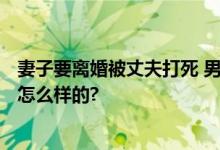 妻子要离婚被丈夫打死 男方获刑10年 细节曝光 具体情况是怎么样的?