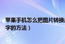 苹果手机怎么把图片转换成文字（苹果手机把图片转换成文字的方法）