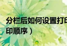 分栏后如何设置打印顺序（分栏后怎样设置打印顺序）